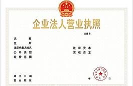 企业法人营业执照图片