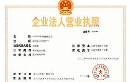 武汉市企业法人营业执照图片
