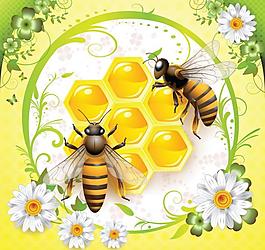 蜜蜂采蜜矢量图图片
