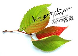 彩色落叶psd分层文件