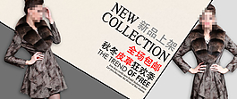 新品上市皮草宝贝模版