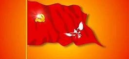 党旗飘飘图片