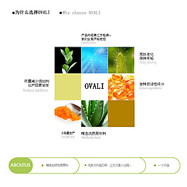 淘宝化妆品模版