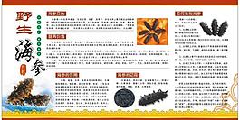 野生海参图片
