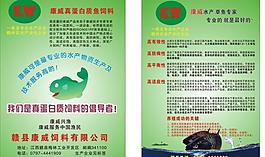 饮料宣传单图片