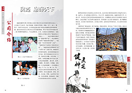 画册 灵芝 公司介绍 灵芝画册模板
