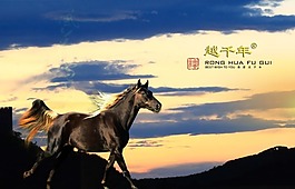 骂越千年