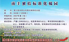 南丰蜜桔标准化橘园图片