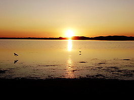 夕阳下的海平面高清背景图