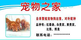 宠物展板图片