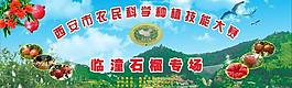 石榴技能大赛舞台背景图片