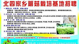 蘑菇基地招聘图片