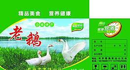 老鹅包装盒图片