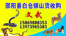 收购山货名片图片