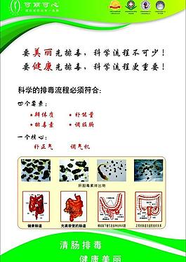 清肠排毒图片清肠宣传折页图片美容清肠x展架图片清肠三折页图片清肠