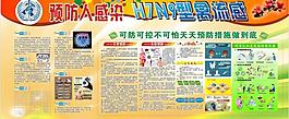 h7n9禽流感图片