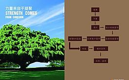 画册内页设计图片