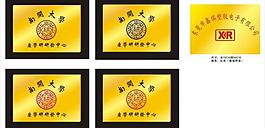 钛金牌图片