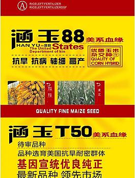 种业涵玉图片