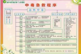 中毒急救程序图片