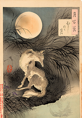 月亮狼草丛设计面版素材