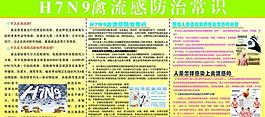h7n9禽流感防治图片
