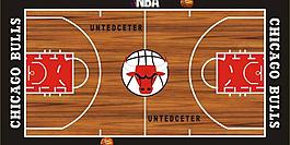nba公牛队主场图片