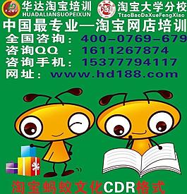 网博淘宝培训 蚂蚁图片
