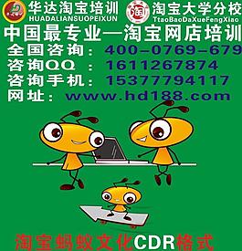 网博淘宝培训蚂蚁图片