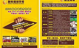 高档传单 培训传单图片