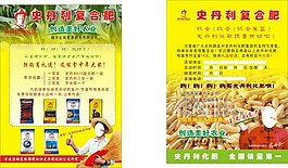 史丹利彩页