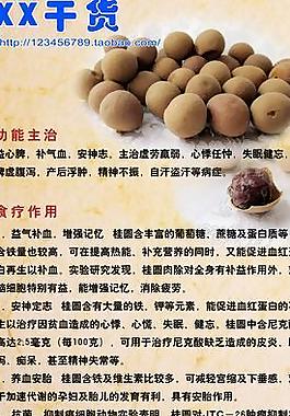 桂圆介绍图片
