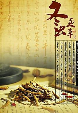 冬虫夏草中药灯箱图片