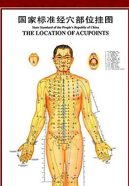 人体穴位图图片 人体穴位图素材 人体穴位图模板免费下载 六图网