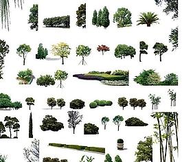 植物后期素材图片