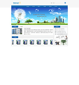 企业网站