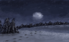 夜色雪景