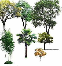 室外效果图后期素材植被PSD源文件1