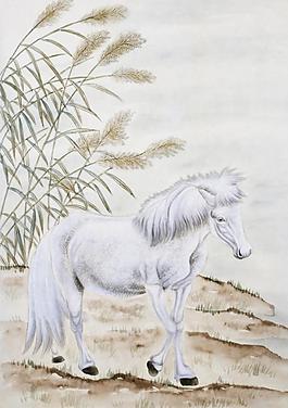 绘画马图片