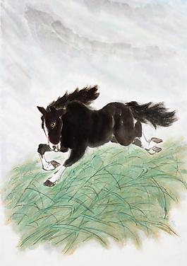 绘画马图片