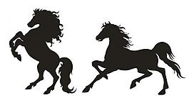 骏马 剪影图片