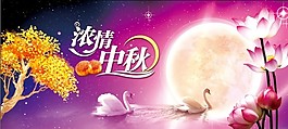 中秋素材