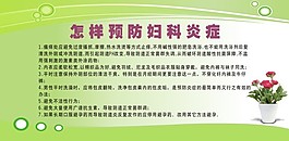 预防妇科炎症展板