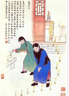 闪灯花（非高清）图片