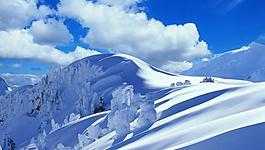 雪景图片