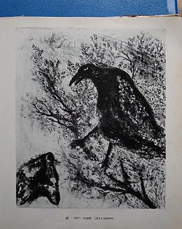 动物插画图片
