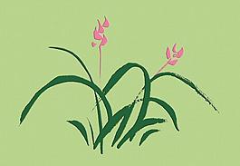 手绘兰花草图片