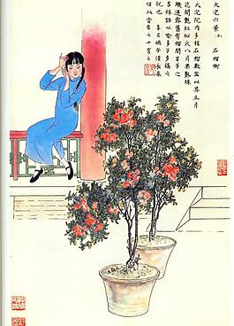 石榴树(非高清)图片