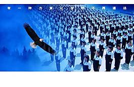 学校宣传册图片