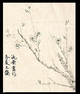 国画梅花图片